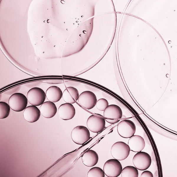 Péptidos de Colágeno